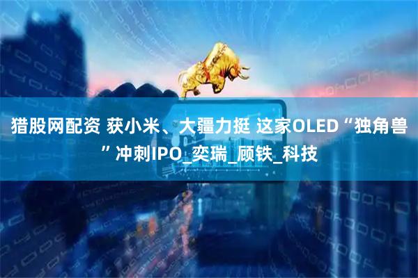 猎股网配资 获小米、大疆力挺 这家OLED“独角兽”冲刺IPO_奕瑞_顾铁_科技