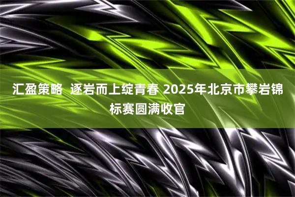 汇盈策略  逐岩而上绽青春 2025年北京市攀岩锦标赛圆满收官