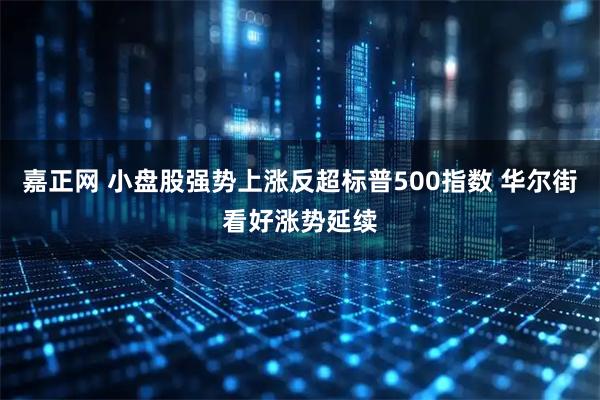 嘉正网 小盘股强势上涨反超标普500指数 华尔街看好涨势延续