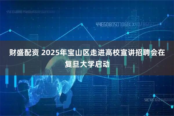 财盛配资 2025年宝山区走进高校宣讲招聘会在复旦大学启动