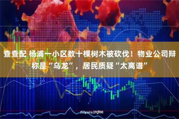 查查配 杨浦一小区数十棵树木被砍伐！物业公司辩称是“乌龙”，居民质疑“太离谱”