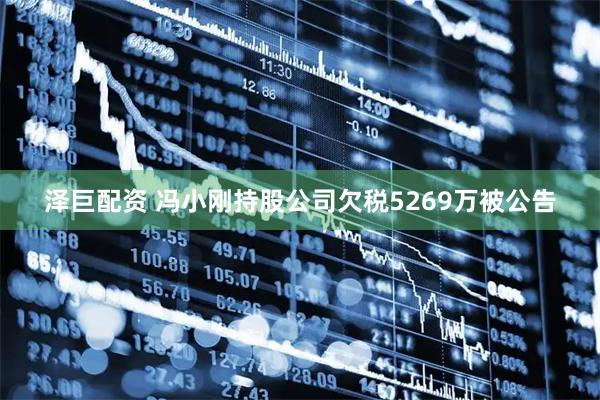泽巨配资 冯小刚持股公司欠税5269万被公告